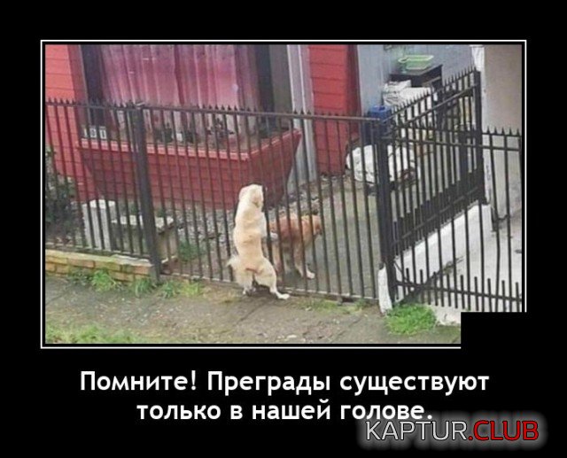 1618328129_demotivatory_11.jpg | Рено Каптур Клуб Россия | Форум KAPTUR.SU