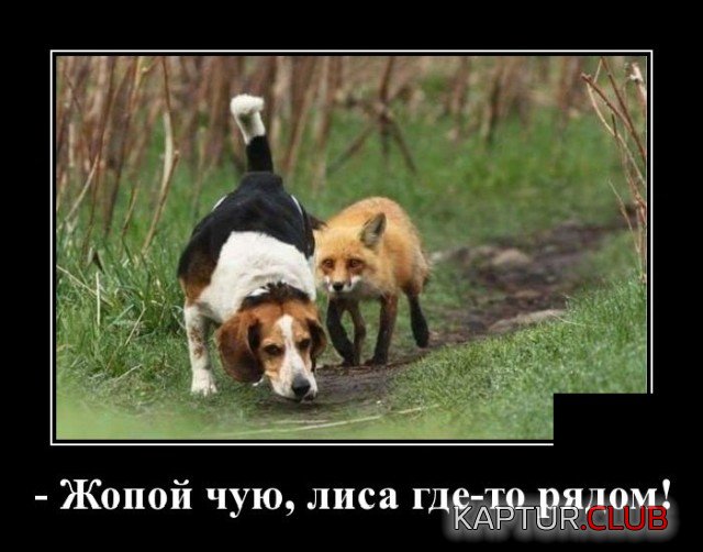 1618412645_demotivatory_01.jpg | Рено Каптур Клуб Россия | Форум KAPTUR.SU