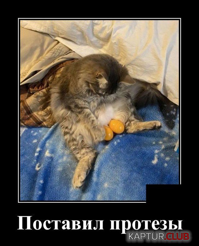 1618500158_demotivatory_02.jpg | Рено Каптур Клуб Россия | Форум KAPTUR.SU