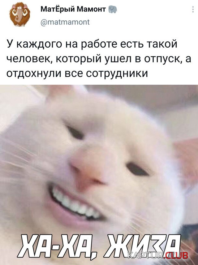 1618847701_podb_24.jpg | Рено Каптур Клуб Россия | Форум KAPTUR.SU