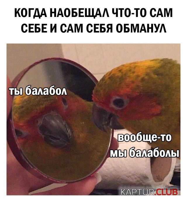 1618909093_1618588764_podb_27.jpg | Рено Каптур Клуб Россия | Форум KAPTUR.SU
