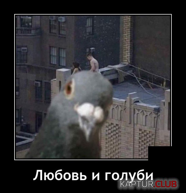 1619012431_demotivatory_09.jpg | Рено Каптур Клуб Россия | Форум KAPTUR.SU