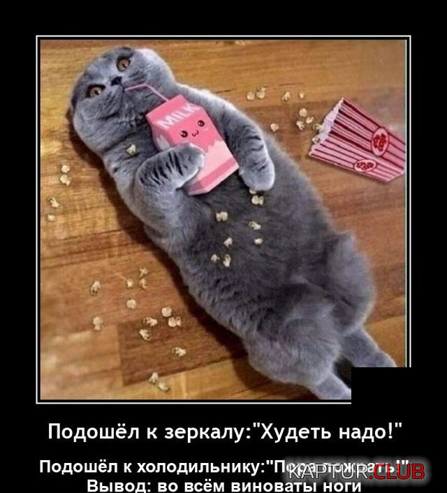 1619533666_demotivatory_06.jpg | Рено Каптур Клуб Россия | Форум KAPTUR.SU