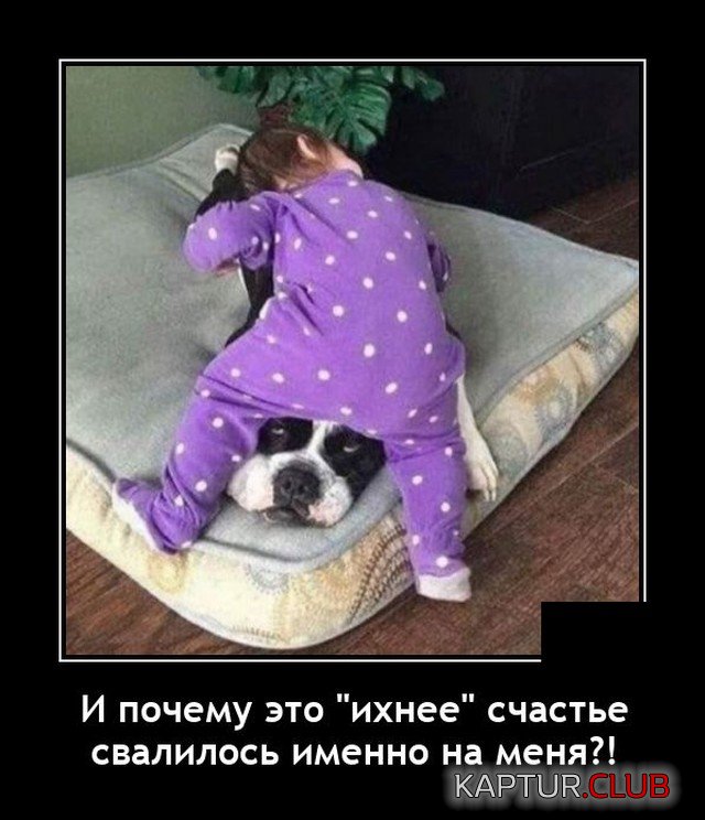 1619533719_demotivatory_13.jpg | Рено Каптур Клуб Россия | Форум KAPTUR.SU