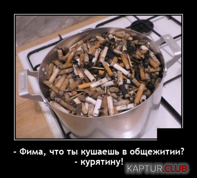 1619533760_demotivatory_04.jpg | Рено Каптур Клуб Россия | Форум KAPTUR.SU
