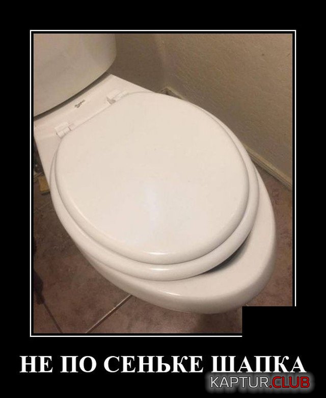 1619772514_1619621935_demotivatory_17.jpg | Рено Каптур Клуб Россия | Форум KAPTUR.SU