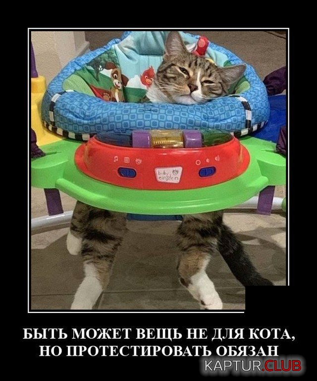 1620044719_demotivatory_20.jpg | Рено Каптур Клуб Россия | Форум KAPTUR.SU