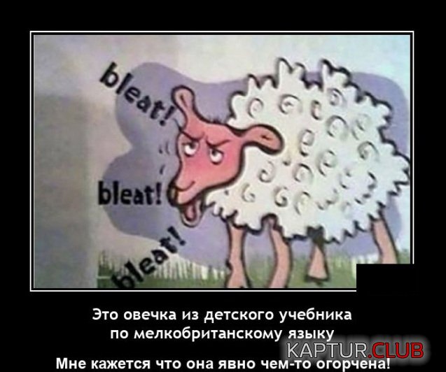 1620140443_demotivatory_06.jpg | Рено Каптур Клуб Россия | Форум KAPTUR.SU
