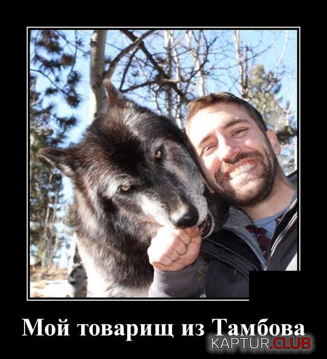 1620398688_demotivatory_04.jpg | Рено Каптур Клуб Россия | Форум KAPTUR.SU