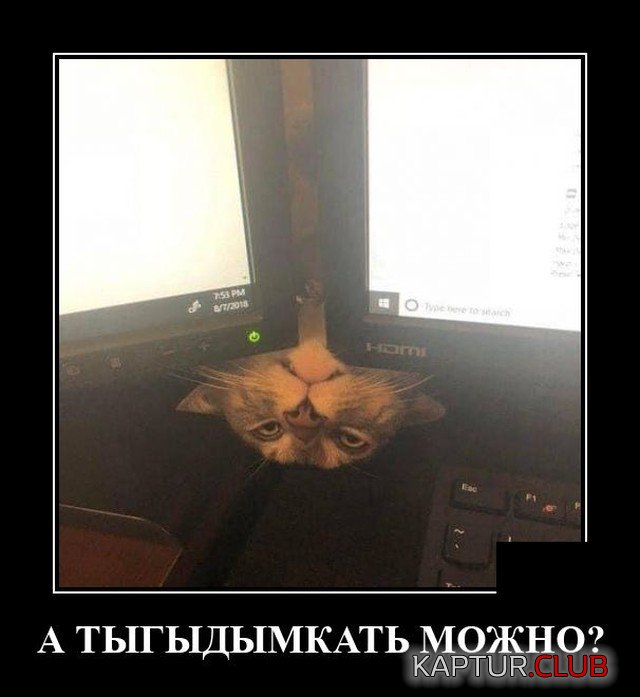 1620745615_demotivatory_18.jpg | Рено Каптур Клуб Россия | Форум KAPTUR.SU