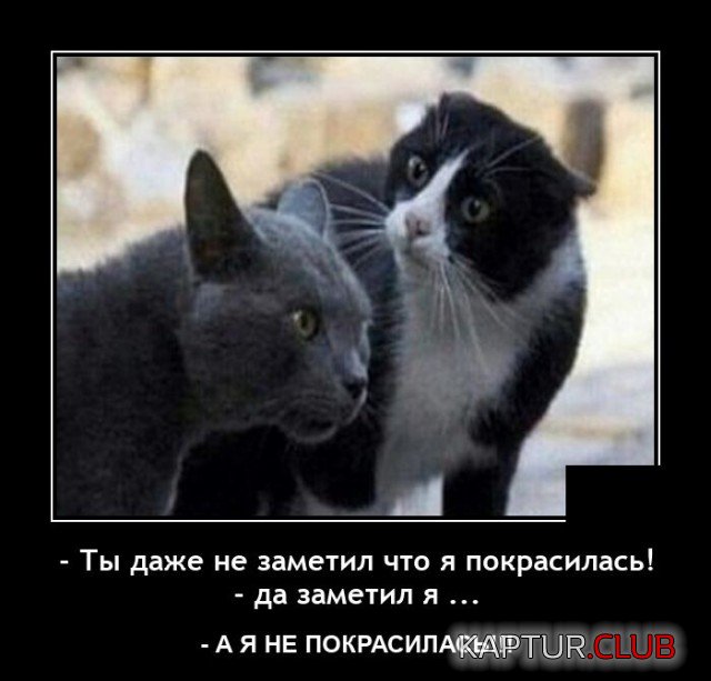 1620745636_demotivatory_13.jpg | Рено Каптур Клуб Россия | Форум KAPTUR.SU