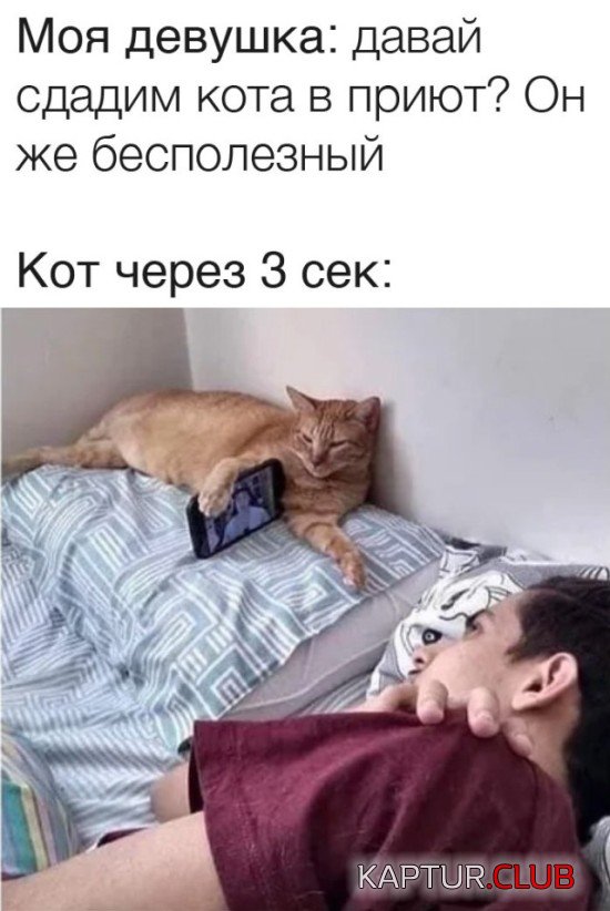 1620906053_podb_vecher_04.jpg | Рено Каптур Клуб Россия | Форум KAPTUR.SU