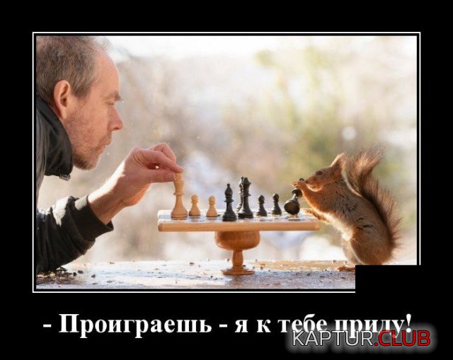 1620907160_demotivatory_02.jpg | Рено Каптур Клуб Россия | Форум KAPTUR.SU
