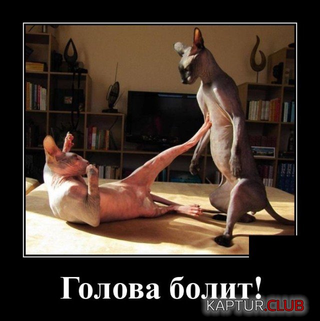 1621186283_1620228620_demotivatory_10.jpg | Рено Каптур Клуб Россия | Форум KAPTUR.SU