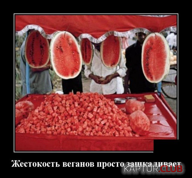 1621186296_1620228575_demotivatory_06.jpg | Рено Каптур Клуб Россия | Форум KAPTUR.SU