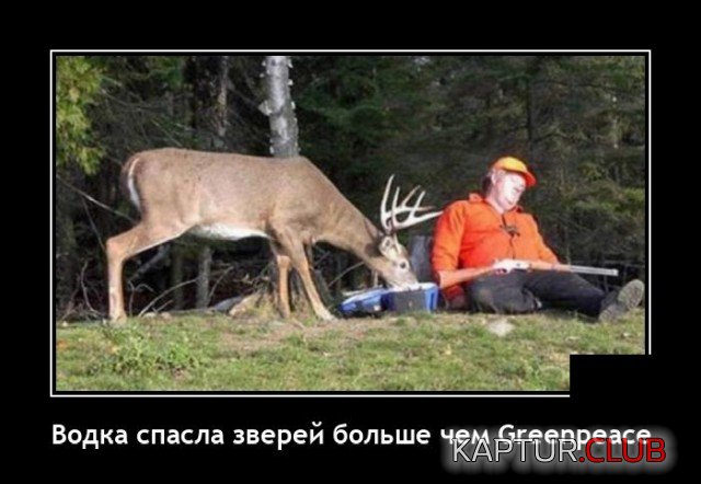 1621343583_demotivatory_17.jpg | Рено Каптур Клуб Россия | Форум KAPTUR.SU