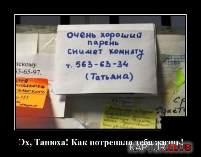 1621434788_demotivatory_17.jpg | Рено Каптур Клуб Россия | Форум KAPTUR.SU