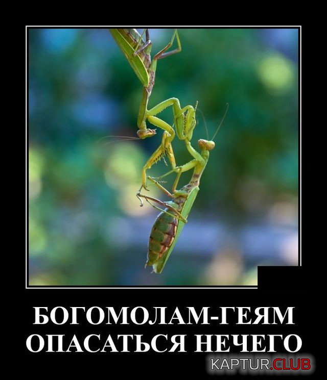 1621517406_demotivatory_20.jpg | Рено Каптур Клуб Россия | Форум KAPTUR.SU
