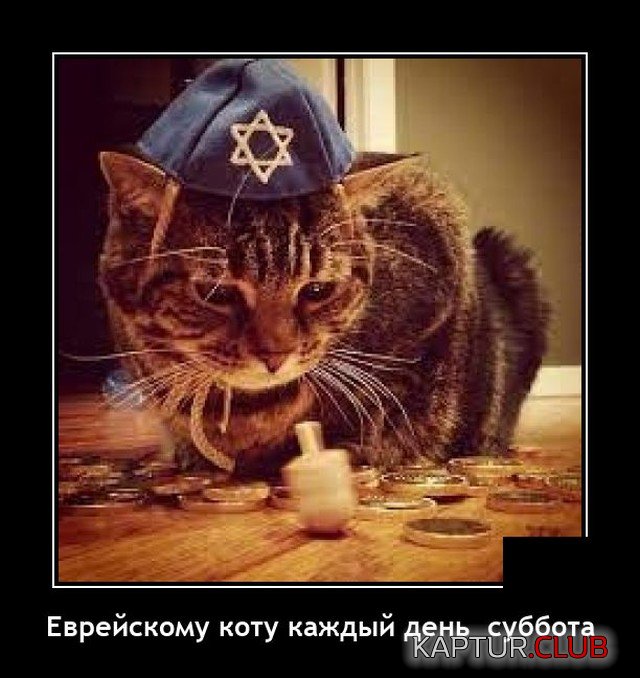 1621867321_demotivatory_11.jpg | Рено Каптур Клуб Россия | Форум KAPTUR.SU