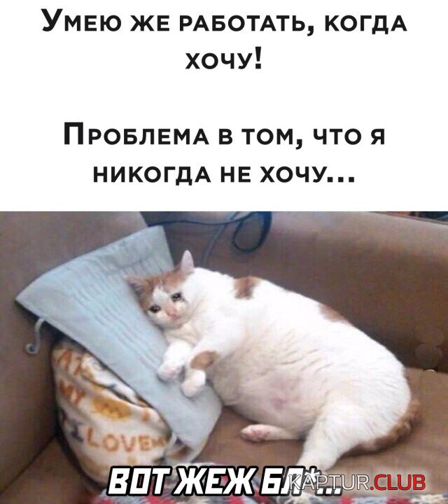 1621956919_podb_vecher_19.jpg | Рено Каптур Клуб Россия | Форум KAPTUR.SU