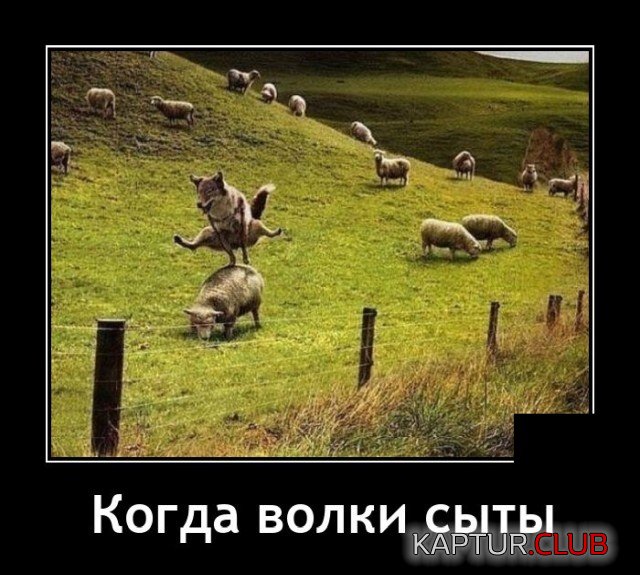 1622213566_demotivatory_16.jpg | Рено Каптур Клуб Россия | Форум KAPTUR.SU