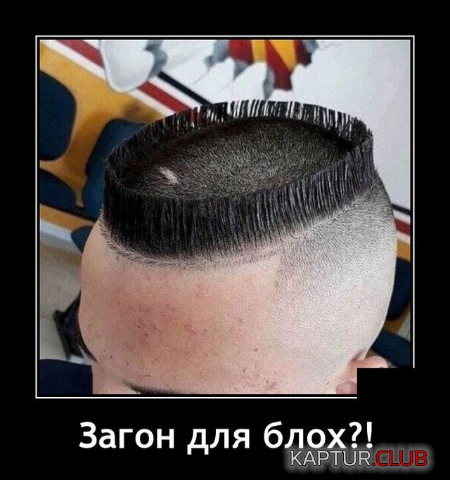 1622213592_demotivatory_15.jpg | Рено Каптур Клуб Россия | Форум KAPTUR.SU