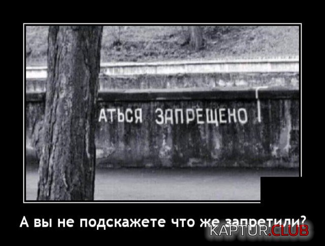 1622560437_demotivatory_09.jpg | Рено Каптур Клуб Россия | Форум KAPTUR.SU