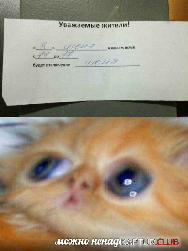 1622649666_podb_07.jpg | Рено Каптур Клуб Россия | Форум KAPTUR.SU