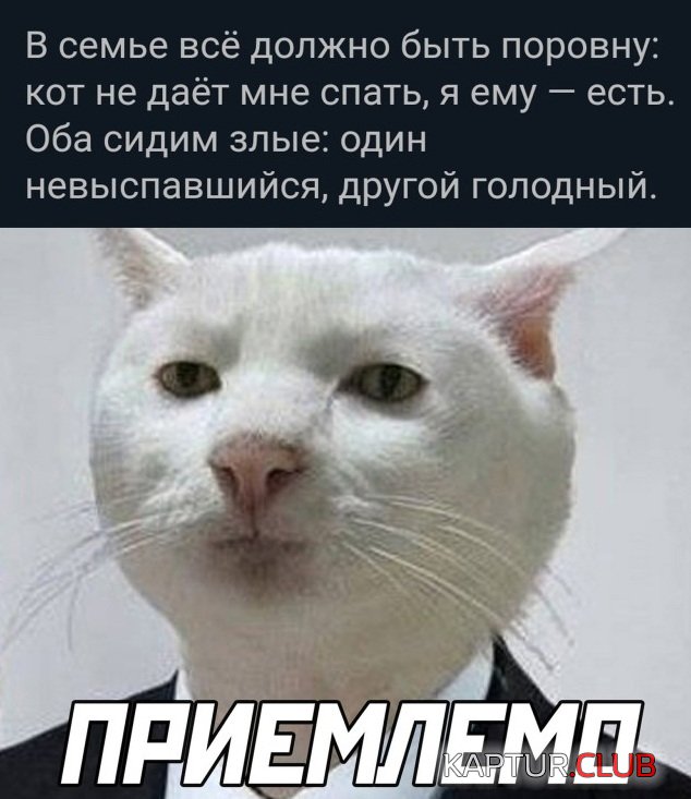 1623240607_podb_vecher_27.jpg | Рено Каптур Клуб Россия | Форум KAPTUR.SU