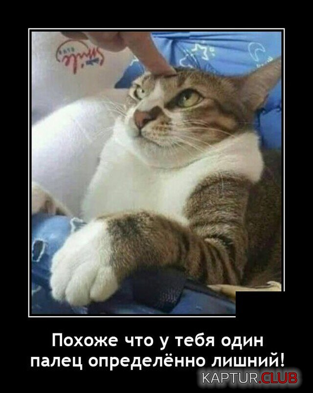 1623242272_demotivatory_07.jpg | Рено Каптур Клуб Россия | Форум KAPTUR.SU