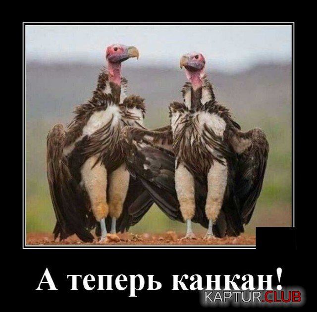 1623333035_demotivatory_05.jpg | Рено Каптур Клуб Россия | Форум KAPTUR.SU