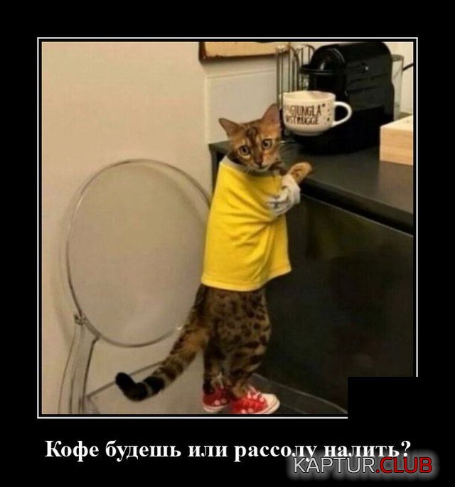 1623422658_demotivatory_01.jpg | Рено Каптур Клуб Россия | Форум KAPTUR.SU