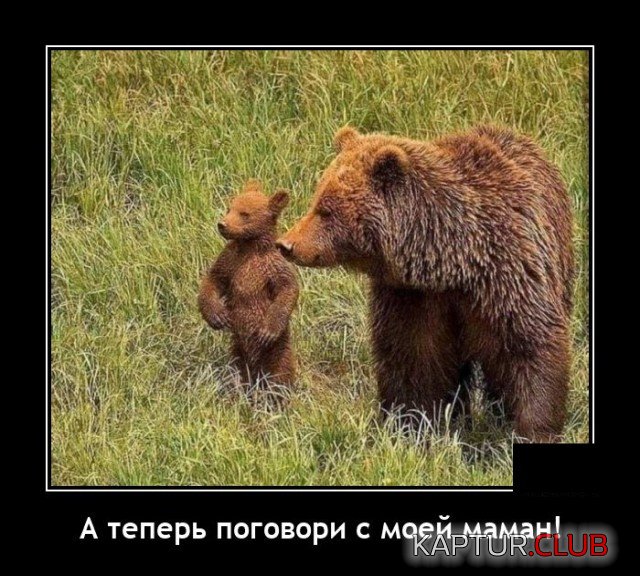 1623496407_1623165502_demotivatory_15.jpg | Рено Каптур Клуб Россия | Форум KAPTUR.SU