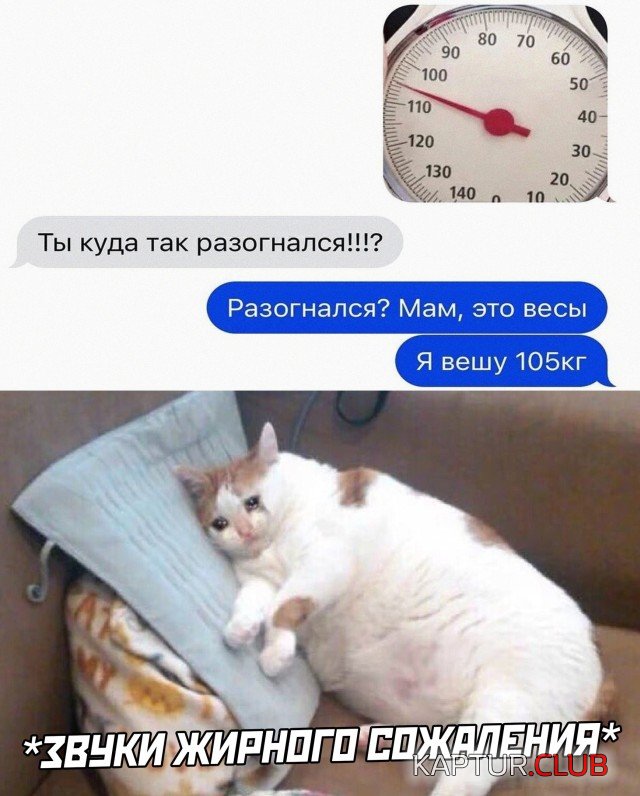 1623597982_1623082546_podb_vecher_01.jpg | Рено Каптур Клуб Россия | Форум KAPTUR.SU