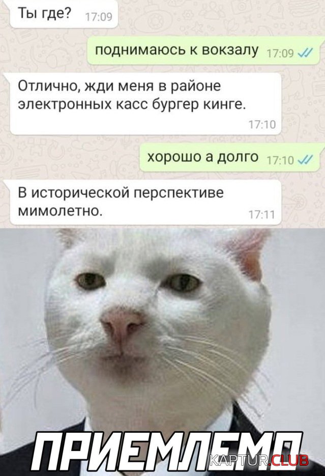 1623953716_1623675832_podb_vecher_01.jpg | Рено Каптур Клуб Россия | Форум KAPTUR.SU