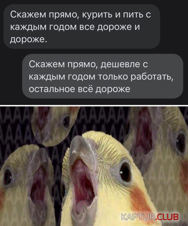 1623953752_1623675894_podb_vecher_24.jpg | Рено Каптур Клуб Россия | Форум KAPTUR.SU