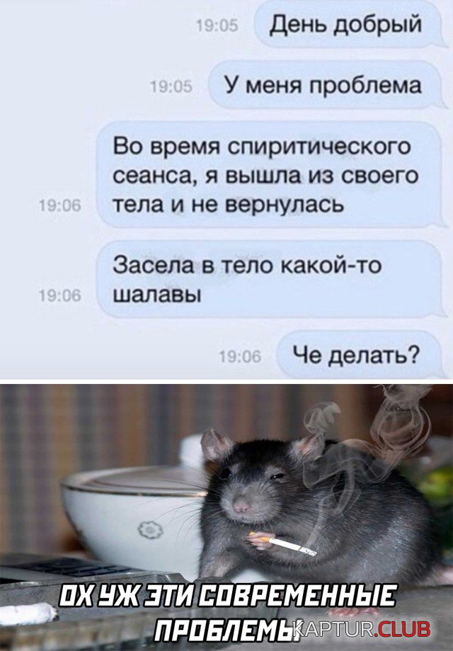 1624272546_1624029347_podb_vecher_29.jpg | Рено Каптур Клуб Россия | Форум KAPTUR.SU