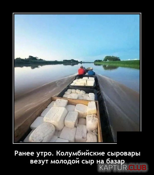 1624538994_demotivatory_05.jpg | Рено Каптур Клуб Россия | Форум KAPTUR.SU
