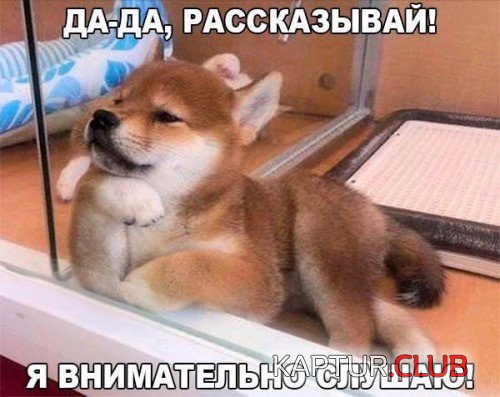 162501774.p.500.500.0.jpg | Рено Каптур Клуб Россия | Форум KAPTUR.SU