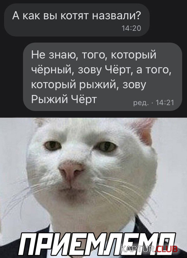 1625237695_podb_vecher_27.jpg | Рено Каптур Клуб Россия | Форум KAPTUR.SU