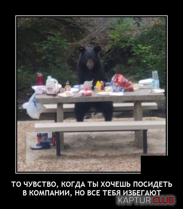 1625491613_demotivatory_15.jpg | Рено Каптур Клуб Россия | Форум KAPTUR.SU