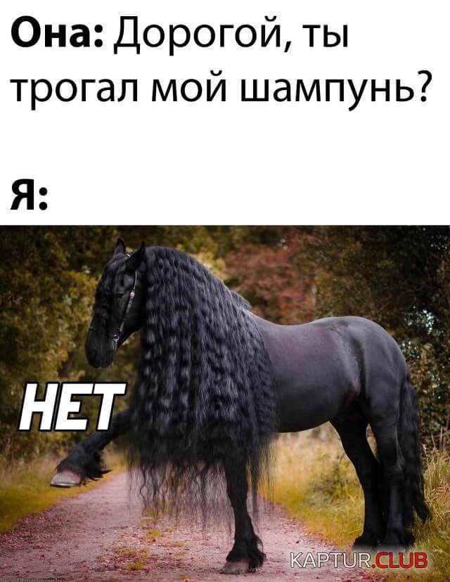 1625574153_podb_04.jpg | Рено Каптур Клуб Россия | Форум KAPTUR.SU