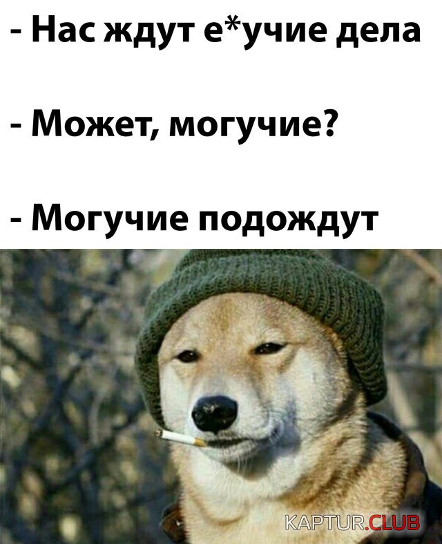 1625669955_podb_vecher_03.jpg | Рено Каптур Клуб Россия | Форум KAPTUR.SU