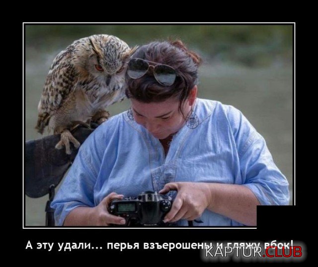 1625757231_demotivatory_14.jpg | Рено Каптур Клуб Россия | Форум KAPTUR.SU