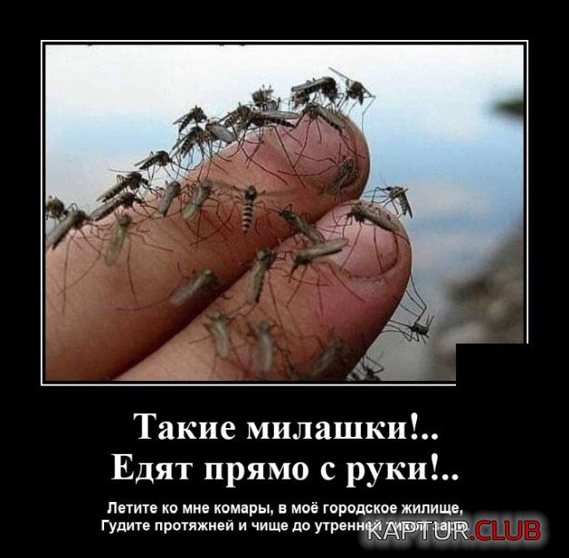 1626100884_demotivatory_09.jpg | Рено Каптур Клуб Россия | Форум KAPTUR.SU