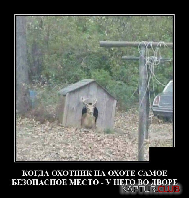1626261598_demotivatory_11.jpg | Рено Каптур Клуб Россия | Форум KAPTUR.SU