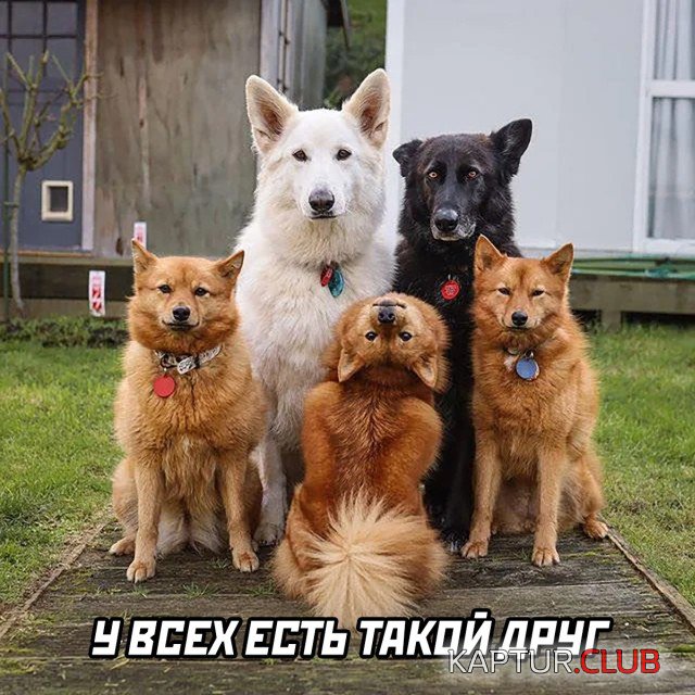 1626272495_podb_27.jpg | Рено Каптур Клуб Россия | Форум KAPTUR.SU