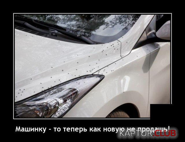 1626348634_demotivatory_16.jpg | Рено Каптур Клуб Россия | Форум KAPTUR.SU
