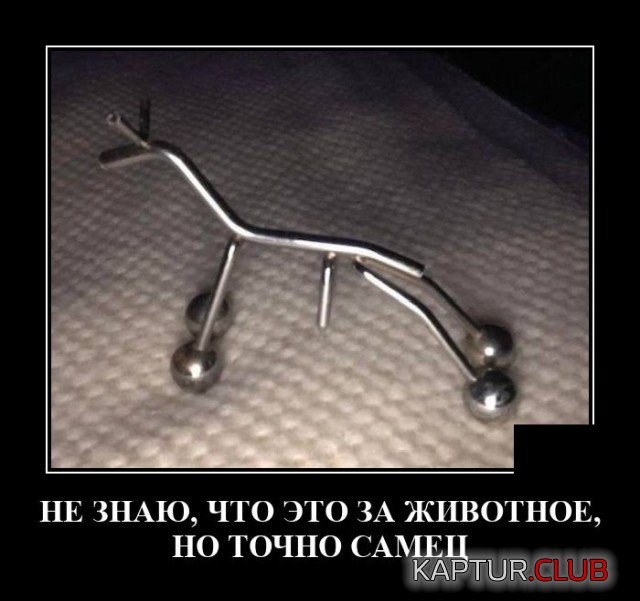 1626703918_demotivatory_20.jpg | Рено Каптур Клуб Россия | Форум KAPTUR.SU
