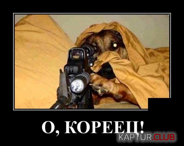 1626790782_demotivatory_18.jpg | Рено Каптур Клуб Россия | Форум KAPTUR.SU